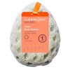 Clean Logic Foam Sea Sponge (2 Pack)