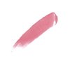Palladio Herbal Matte Lipstick, Scarlet, Creamy and Full Coverage Long Lasting Matte Lipstick