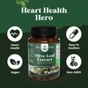 Potent Olive Leaf Extract Capsules - High Strength Antioxidant Supplement with Pure Olive Leaf with 20% Oleuropein - Herbal Heart Health Supplement - Vegan Non-GMO & Gluten Free (2 Month Supply)