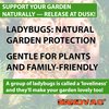 1500 Live Ladybugs for Garden - Natural Helpers for Plants (Hippodamia Convergens)