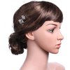 BABEYOND Vintage Hair Pins Clips for Women 1920s Crystal Rhinestone Feather Hair Pins Great Gatsby Hair Piece (A-Silver)