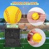 Bgtecho 24Pack Mini Softball,1.6 Inch Mini Sports Stress Balls,Mini Yellow Baseball Softballs for Kids,Mini Foam Sports Ball for Sports Theme Party Favors School Carnival Reward