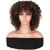 Hanne Fashion Curly Afro Wig with Bangs Short Kinky Curly Wig for Women Synthetic Ombre Brown Curly Wigs Shoulder Length Glueless Afro Wig (1B/30#)