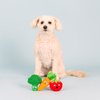 Fringe Studio Plush Dog Toy Set, Farm to Table, Small 3 Piece Set, Pet Shop Collection (662075)