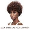 Style Icon Afro 5" Short Curly Wigs with 100% Brazilian Hair (3-Color Mixed: DARK BLONDE & MEDIUM AUBURN & DARK BROWN) - Afro Wigs for Black Women - Human Hair Wigs - Beauty Personal Care Afro Wig