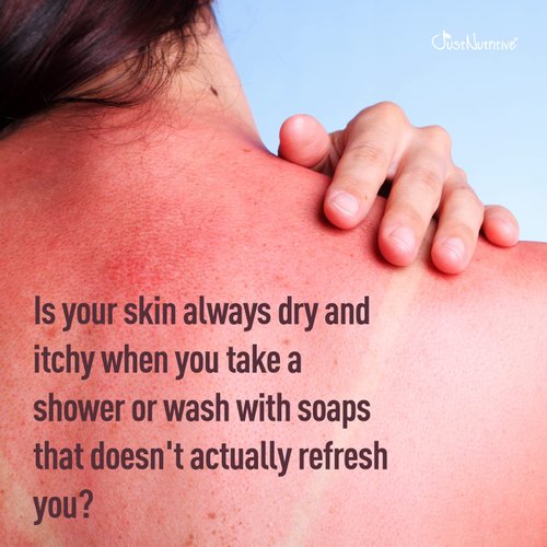 Just Nutritive Skin Calming Body Wash | Best Body Wash for Your Skin | Natural Body Wash 16 oz