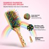 Rainbow Hair Brush for Women, Men, and Kids - Health and Massage, Everyday Brush (Small)