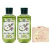 Bath & Body Works Apple Blossom 2 Pack Shower Gel Set with a Himalayan Salts Springs Soap - Full Size