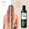 Lazartigue Extra-Gentle Shampoo, Rice Milk Enriched Daily Cleansing Hair Wash for the Whole Family, Vegan, Sulfate-Free, Silicone-Free, 8.4 Fl. Oz.