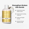 MOEHAIR Moeplex Seal | Hair Bond Repair Conditioner | Strengthens Natural, Colored & Bleached Hair | Infused with Natural Oils | Nourishes Hair with Argan Oil, Pro-Vitamin B5 and Fibroin (16 Fl. Oz)