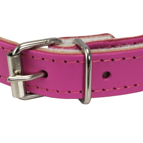 Dogs My Love Genuine Leather Felt Padded Dog Collar (14.25"-18" Neck; 3/4" Wide, Pink)