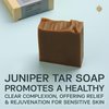 AUTHENTIC BATH & SOAP Cold Processed - Juniper Tar Soap Bar - Psoriasis & Eczema, Sensitive Skin, Natural, Men & Women, no Sulfates or Parabens, Cruelty Free, Face & Body. (Pack of 2) 4.2 Oz Each