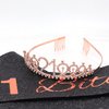 "I'm 21 Bitches!" Sash & Rhinestone Tiara Set - 21st Birthday Gifts Birthday Sash for Women Birthday Party Supplies (Black Glitter/Rose Gold)