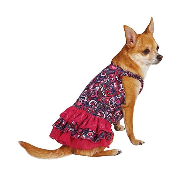 East Side Collection Polyester/Cotton Retro Paisley Dog Dress, X-Small, Pink