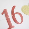 Happy Sweet 16 Banner, 16th Birthday Party Sign, Sweet Sixteen Party Supplies (Pink)