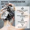 Natouch Natural Shampoo Bar for Dry Hair, Solid Travel Bar Shampoo for Treated Dry Damaged Frizzy Hair and Dandruff, Hair Soap Bar with Cocoa butter, Aloe Vera, jojoba oil and rosemary oil