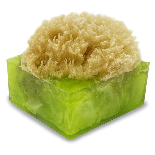 Primal Elements Sea Salt and Citrus SpongeBar Soap (Pack of 2)
