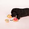 FRINGE STUDIO Pet Toy, Small Dog Toy Set, Trendy Food, 3 Pieces (289411)
