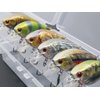 wLure Minnow Crankbait for Bass Fishing Bass Lure Jerkbait Fishing Lure (HC15KB, with Tackle Box)
