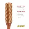 Kent DA4S Finest Women's Danta Wood, Soft White Bristle, Narrow Grooming Hair Brush - Fine or Thinning Hair, Promotes Shine / Stimulates Scalp