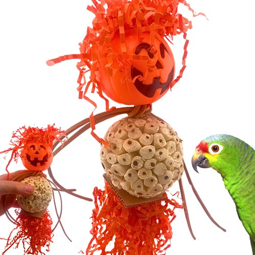 Bonka Bird Toys 2702 Halloween Pumpkin Bobblehead Jack-o-Lantern Trick or Treat Parrot Cage Toy, Conure, Ringneck, Caique, and Similar Breed Sizes