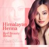 Hair Bloom Natural Red Hair Color- Henna w/Mixed Himalayan Herbs Hair Color Powder- 12 Individual Sachets (10 gm each)- Reusable Brush & Tray Included- Shiny & Smooth by Pride of India
