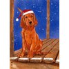 Pipsqueak Irish Setter Christmas Cards : 10 Holiday Cards with Red Envelopes - ADORABLE!