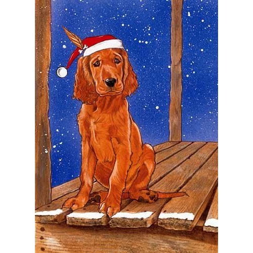 Pipsqueak Irish Setter Christmas Cards : 10 Holiday Cards with Red Envelopes - ADORABLE!