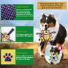 CLAMADO Dog Toys Soccer Ball with Straps, Interactive Dog Toys for Tug of War, Dog Water Toy, Durable Dog Balls for Small & Medium Dogs,Outdoor Dog Balls for Small,Puppy Birthday（6 Inch）