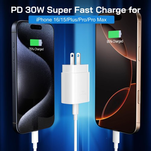 30W USB C i Phone 16 15 Charger Fast Charging, 2PACK Wall Charger for iPhone 16 15 Pro Max Charger Cord 10FT Fast Type C Charger Block for iPhone 16/16 Pro/15 Plus/15 Pro/15 Pro Max,i Pad Pro/Air/Mini