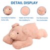 Hronsa Weighted Stuffed Animals, Weighted Pig Stuffed Animal Toy Cute Pink Pig Plush Pillow for Adults Boys Girls, 11.8in
