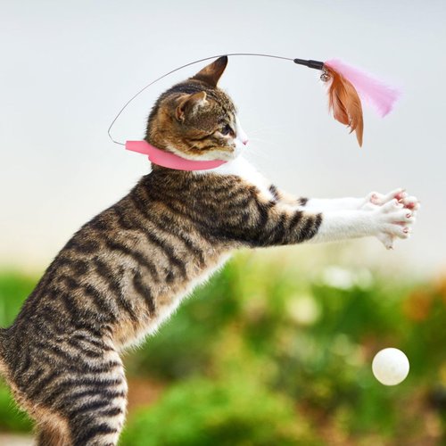 POPETPOP Cat Collar Toys-4 Pcs Cat Toy Collars Interactive Cat Toys for Indoor Cat Self Playing Chasing Plaything with Bell Teasing Wand for Kittens Small Animals