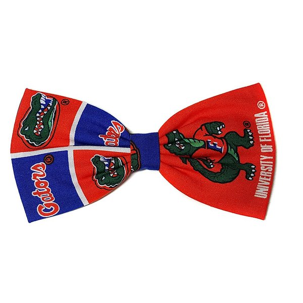 Sports Themes Hair Bow Collection (Alligator Clip, UF Gators/Orange)