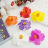 6Pcs Hawaiian Flower Hair Clips, Plumeria and Hibiscus 3.5" Clips for Women, Artificial Flowers Clips Perfect for Vacation and Beach Parties