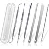 6pcs Ingrown toenail Tool, Toenail File and Lifters, Professional Surgical Stainless Steel Ingrown Toenail Removal Tool Kit, Under Nail Cleaner Tools Pain Relief(Natural color)