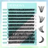 Hermosa Phoenix Pulse, Hermosa DIY Lash Extension Kit, 220 Pcs Lash Clusters Kit 30D+40D Individual Lashes 8-16mm for Natural Look, DIY Eyelashes at Home HM40D