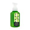 Bath and Body Works Cucumber Melon Gentle Foaming Hand Soap 8.75 Ounce (Cucumber Melon)