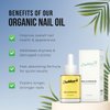 Dashboard Beauty Cuticle Nail Oil - Advanced Nail Moisturizer & Premium Nail Strengthener with Jojoba, Vitamin E - Repairs Damaged Nails, Nourishes, Enhances Growth - Salon-Grade, Deep Hydration, 1 oz