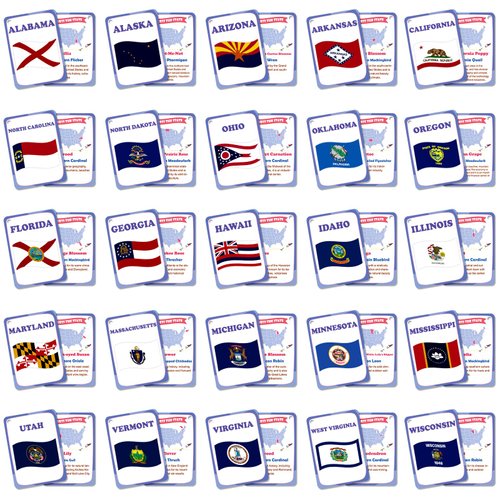 50PCS America State Flag Flash Cards for Kids Waterproof USA State Flag Flashcards U.S. State Flag Education Flashcards United States State Flag Educational Learning Card