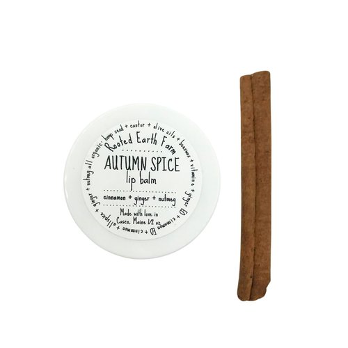 Autumn Spice Lip Balm - 0.5 fl oz - Pumpkin Spice Scented with Ginger and Cinnamon