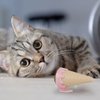 MiOYOOW Catnip Cat Ball Toy, Rotating Cat Chewing Toy Ice Cream Shaped Adhesive Cat Catnip Sphere Toy for Cat Kitty Licking Teeth Cleaning