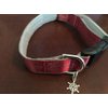 Burgundy, Gold designer dog collar. 13"-17", 58" leash