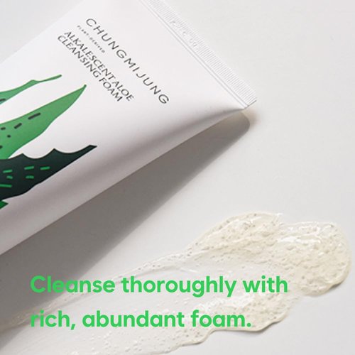 CHUNGMIJUNG Alkalescent Aloe Cleansing Foam, Deep Cleansing Foam, Blackhead Remover,Mildly Alkaline, Potassium Cocoate, All Skin Types, Korean Skin Care 6.7 fl.oz / 200ml