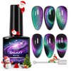 9D Cat Eye Gel Nail Polish, Chameleon Gel Polish Soak Off U V Light, Double Magic Colors Nail Polish Professional Use for Salon-A