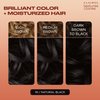 Clairol Textures & Tones Permanent Hair Dye, 1N Natural Black Hair Color, Pack of 1