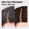 Hair Dye Shampoo 3 in 1, Hair Color Shampoo, Semi-Permanent Hair Color, Instant Dark Brown Hair Dye, Safe & Professional Hair Dye Shampoo, Easy To Use, For Salon & Home DIY 16.9 FL OZ (Dark Brown)
