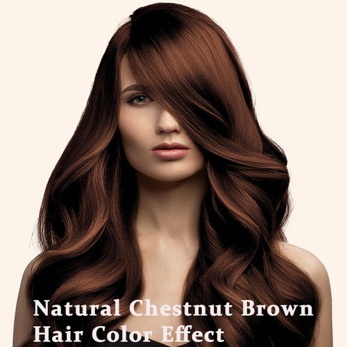 Chestnut Brown Hair Dye Shampoo 3 in 1, Instant Brown Hair Color Shampoo for Men & Women, Herbal Brown Hair Shampoo Brown Shampoo Colors Hair in Minutes 17.6 FL OZ