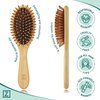 Bamboo Bristle Hair Brush for Women, Men, Kids; Dry and Wet Detangling Hair Brush Gently Enhances Shine, Smooths Frizz and Prevents Breakage in Fine and Straight, Thick and Curly Hair (oval)