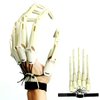 Thafikzi Halloween Gloves Wearable Skull Fingers Articulated Finger Extensions A Pair of Halloween Devil Claws Cosplay Ghost Hands Fit for All Finger Fake Fingers Can Be Flexibly Bent (Bone Color)