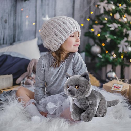 Tiny Heart Simulation British Short cat Plush Toys, 11.02inch Cute British Short cat Stuffed Animal Plush Toys for Kids Boys and Girls Kawaii Birthday Gifts, Room Decoration